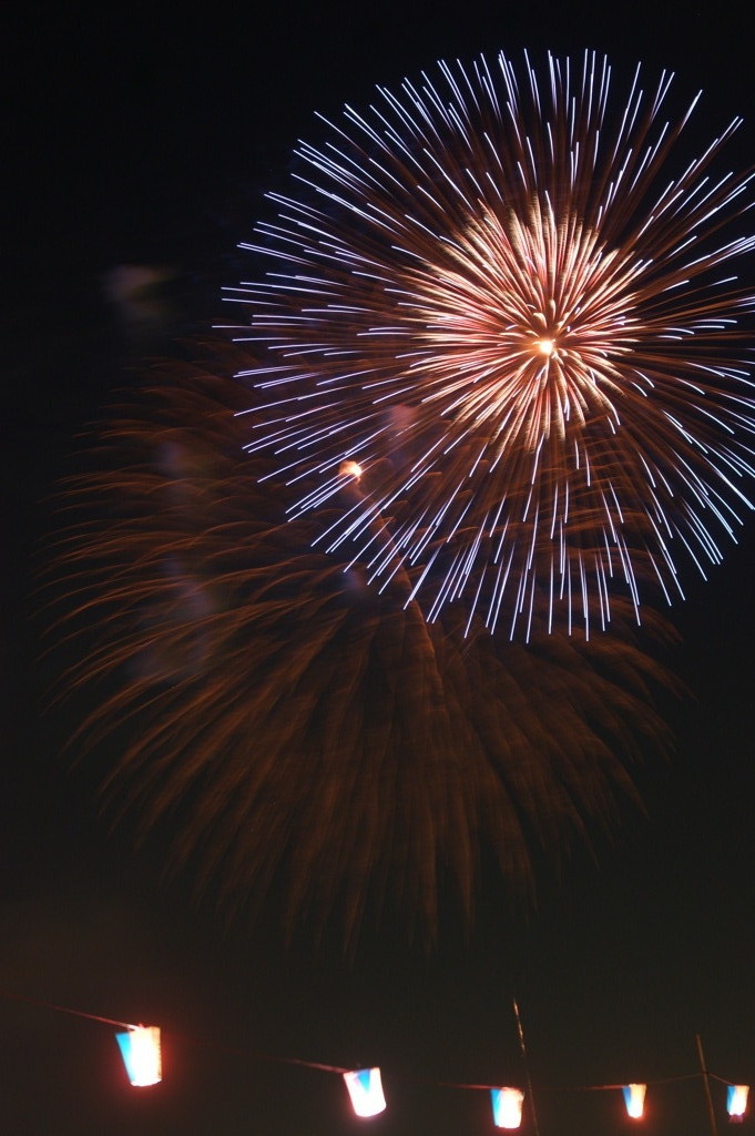 夏夜に咲く花