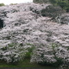 DSC00029