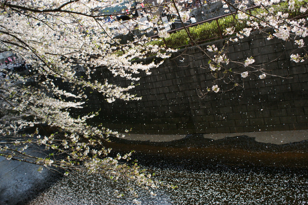 DSC00017