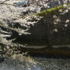 DSC00017