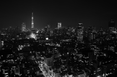Tokyo Monochrome２