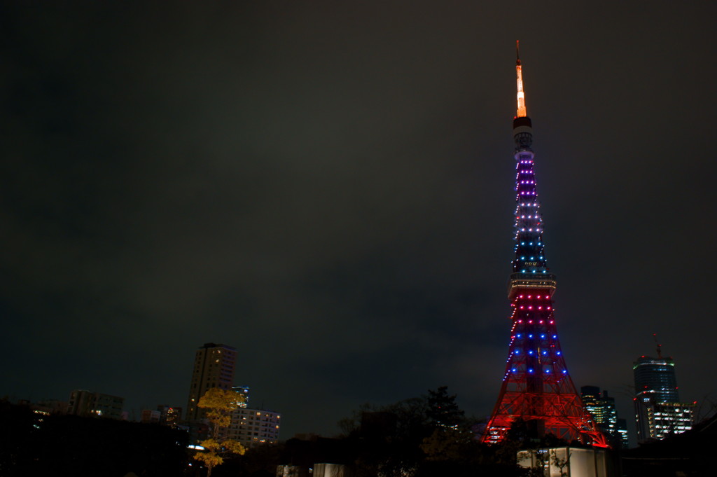 限定東京タワー７