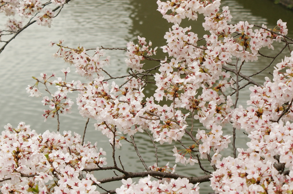 DSC00007