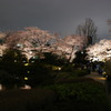 DSC00087