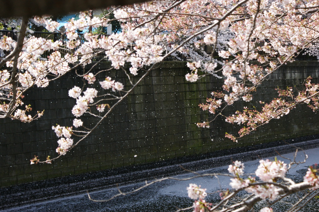 DSC00054