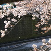 DSC00054