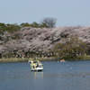 DSC00077