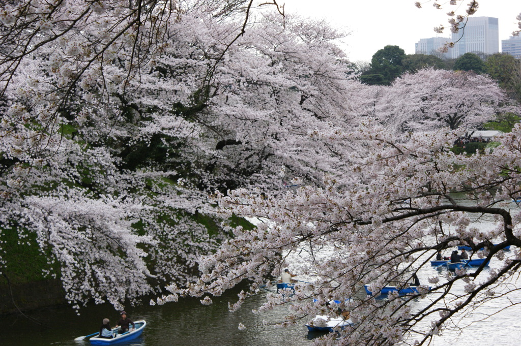 DSC00018
