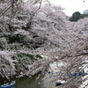 DSC00018
