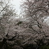 DSC00052