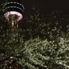 DSC00103