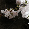DSC00043