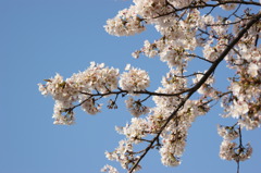 DSC00041