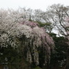 DSC00054