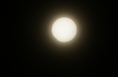 金環日食22(2012.05.21)