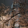 DSC00102