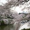DSC00015