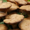 DSC00095