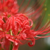 DSC00091