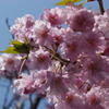 DSC00063