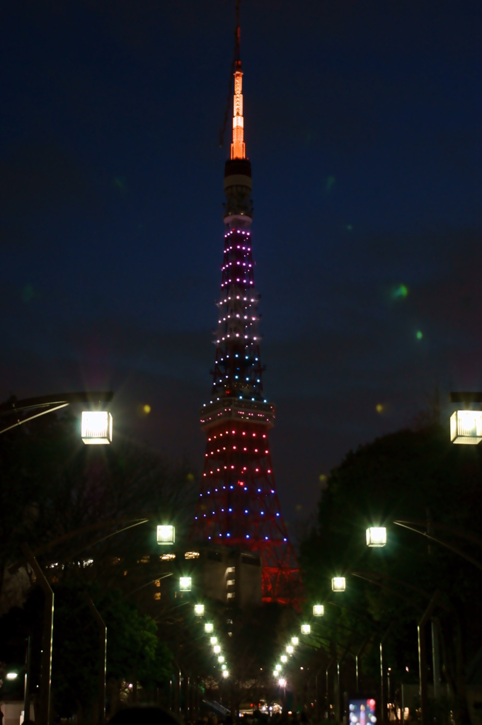 限定東京タワー１