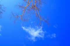 空@大菩薩峠
