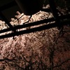rikugien10
