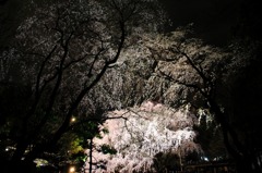 rikugien8