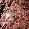 rikugien5
