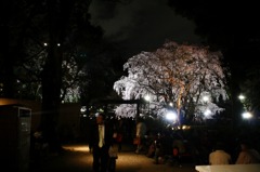 rikugien3