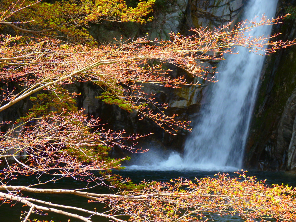 布引の滝（雌滝）