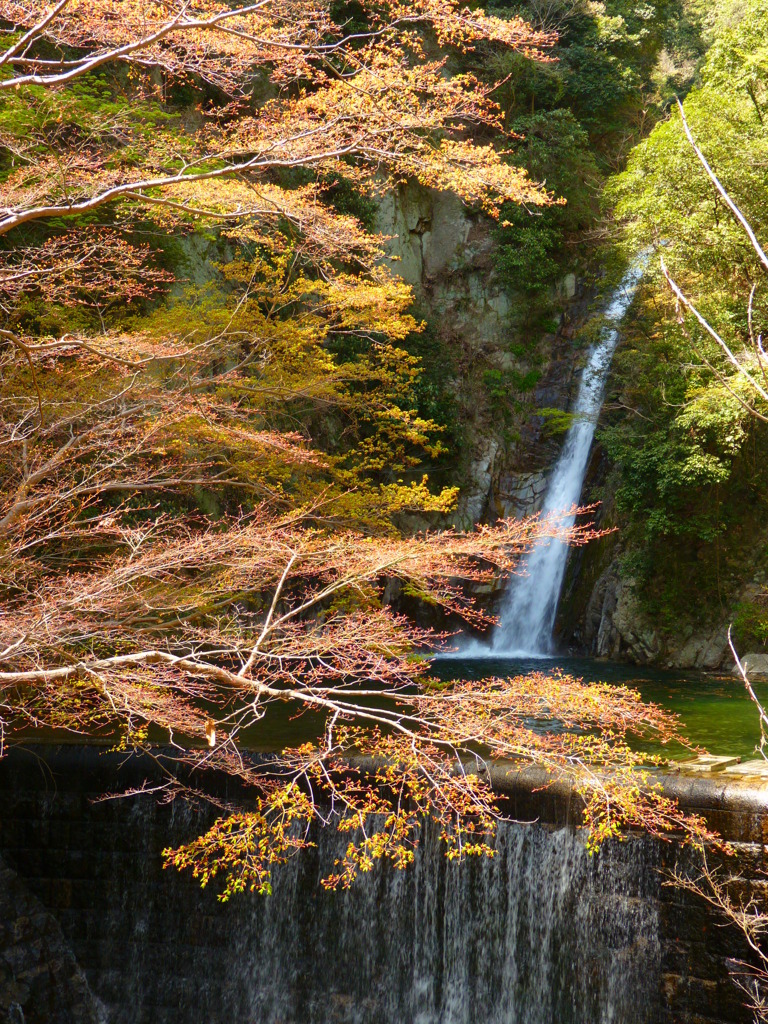 布引の滝（雌滝）