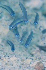 みんな注目！