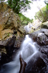DSCF0487