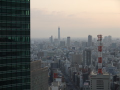 早朝の遠景（スカイツリー）