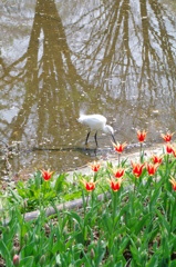 IMGP0651