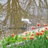 IMGP0651