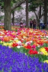 IMGP0672