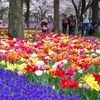 IMGP0672