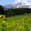 Longs Peak