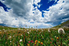 Colorful Colorado