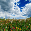 Colorful Colorado