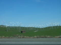 風の丘