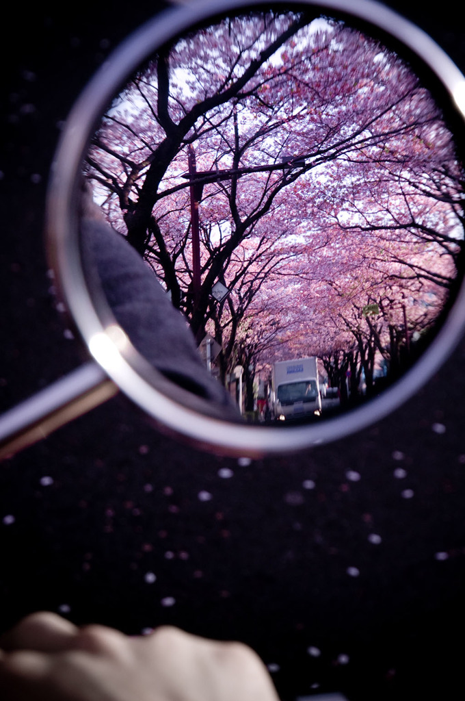 愛車より