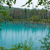 伝説の青い池