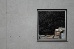 Window
