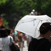 日傘の季節
