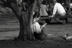 春の読書