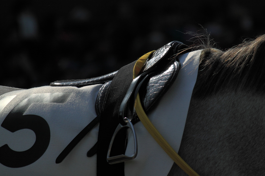 A saddle