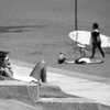 A summer girl